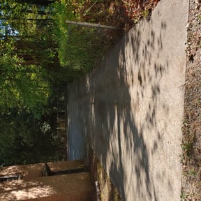 Bush Trimming by Leo's Lawn Care LLC reviewed on October 24, 2024