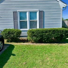 Bush Trimming by MCL All Around Services, LLC reviewed on March 30, 2024