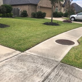 yard care by Kenny's Nice -N- Neat lawn servers reviewed on November 18, 2025