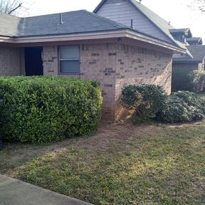 Bush Trimming by Tatum Lawn Care reviewed on August 14, 2025