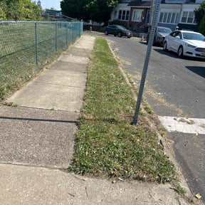 Bush Trimming by Forever Green FG LLC reviewed on December 8, 2025