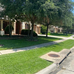 yard care by Omar Norris reviewed on April 9, 2024