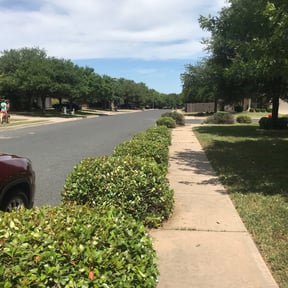 Bush Trimming by The customer first reviewed on August 16, 2025