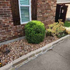 Bush Trimming by Landscaping reviewed on April 24, 2026
