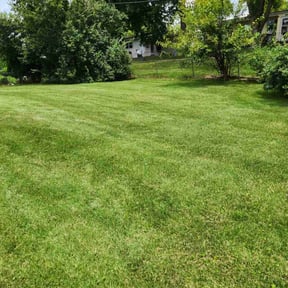 yard care by Sharp landscape reviewed on August 19, 2025