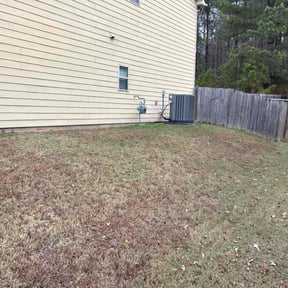 Leaf Removal by Mayan Environmental&amp;Property Services reviewed on December 10, 2025