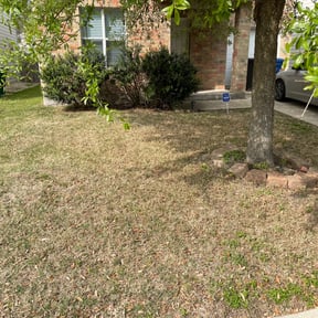 Leaf Removal by Clarks lawn care  reviewed on September 6, 2025