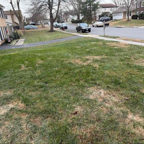 Leaf Removal by Wkwross Lawn Care and 72154 reviewed on December 7, 2025