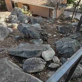 Leaf Removal by Power T Properties reviewed on July 3, 2026