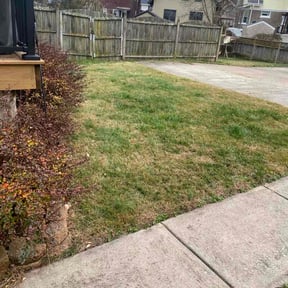 Leaf Removal by R&amp;T H Home Services LLC reviewed on November 26, 2025