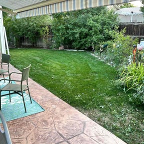 yard work by A Happy House Design LLC reviewed on August 20, 2025