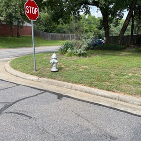 Flower Bed Weeding by Triple S Cuts & Cleanouts reviewed on August 16, 2025