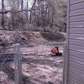 Leaf Removal by The Evergreen Group reviewed on May 8, 2026