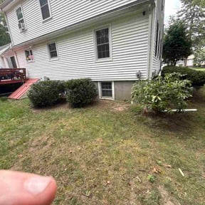 Bush Trimming by Dreday68 lawncare reviewed on August 17, 2025