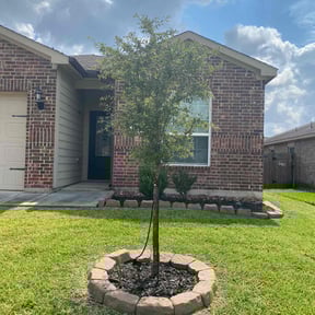 Flower Bed Weeding by Green T's Lawn &amp; Landscape reviewed on November 21, 2025