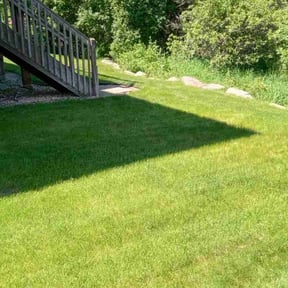 yard care by Moises Perez reviewed on November 23, 2025