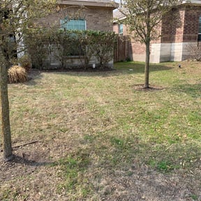 Bush Trimming by Jay&#039;s Landscaping reviewed on November 23, 2025