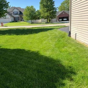 yard care by JB Mowing reviewed on June 5, 2025