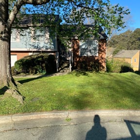 Leaf Removal by CP Lawn Care reviewed on August 19, 2025
