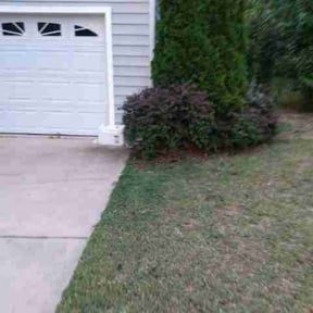 Bush Trimming by Lawn Salon Property Management LLC reviewed on August 20, 2025