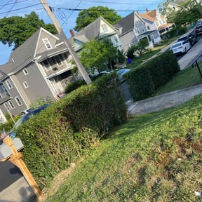 Bush Trimming by ForeverGreen Lawn Care reviewed on August 19, 2025