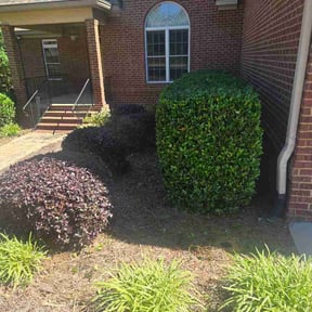 Bush Trimming by 7Brother Landscaping reviewed on May 18, 2026