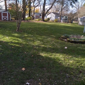 Leaf Removal by Fresh Clean Cuts LLC reviewed on September 26, 2025