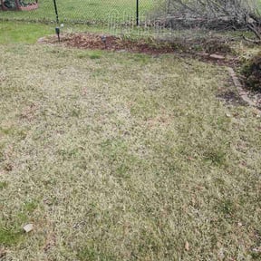 Leaf Removal by Farley's Lawn &amp; Land Solutions reviewed on May 5, 2026