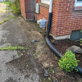 Flower Bed Weeding by Abel Baeza reviewed on September 16, 2026