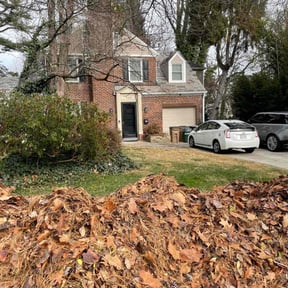 Leaf Removal by Acheys landscaping LLC reviewed on December 9, 2025