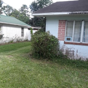 Bush Trimming by Dixon Mow & Trim, LLC reviewed on August 18, 2025