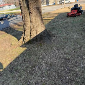 Leaf Removal by Luke's landscaping and hardscaping LLC reviewed on September 28, 2025