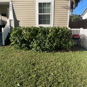 Bush Trimming by Lion&#039;s Heart Lawn Care reviewed on October 19, 2025