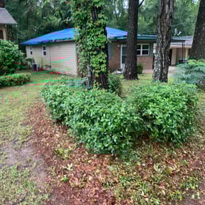 Bush Trimming by al pro lawn care reviewed on August 19, 2025