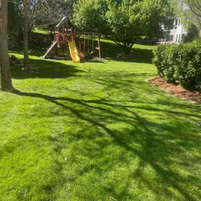 landscaping by Smack Down lawns and tractor services reviewed on October 22, 2025