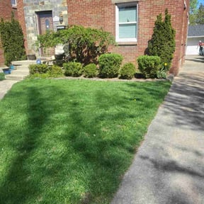 Leaf Removal by Nice Lawns on Wheels reviewed on November 23, 2025