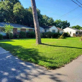 landscaping services by Loyalty Repairs reviewed on August 20, 2025