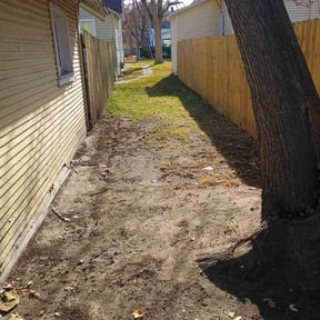 Leaf Removal by Thick Green Lawn Care reviewed on November 19, 2025