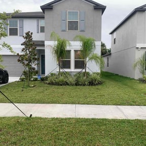 Bush Trimming by Lugo Group, LLC reviewed on August 15, 2025