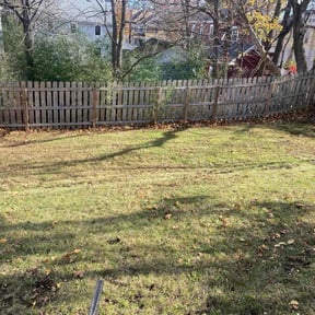 Leaf Removal by Hawk eye landscape reviewed on September 18, 2025