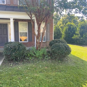 Bush Trimming by Red Rose Lawn Care reviewed on August 17, 2025