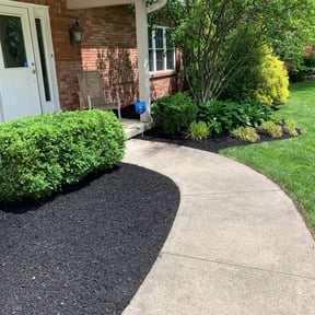 Bush Trimming by Verns Lawncare LLC reviewed on August 19, 2025