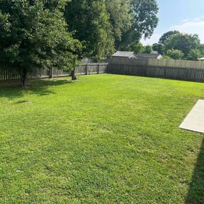 yard work by Vidco landscaping reviewed on August 16, 2025