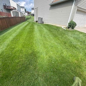 yard work by Old Glory Solutions, LLC reviewed on August 19, 2025