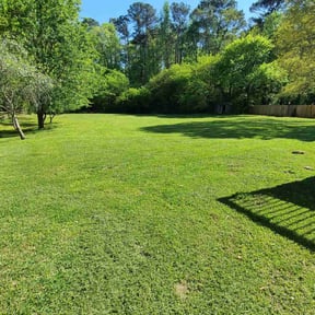 grass maintenance by Clean Em Up Lawn-care reviewed on August 14, 2025