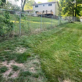 Bush Trimming by Baldwin Premium Lawn Care reviewed on April 26, 2026