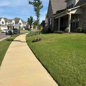 yard service by F&amp;R Lawn Stars reviewed on November 23, 2025