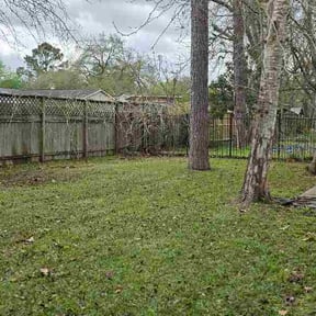 Leaf Removal by Tjs lawn care and escapes reviewed on July 31, 2026