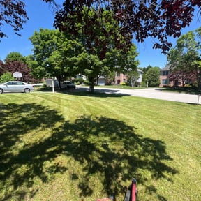 landscape maintenance by JBS inc reviewed on August 16, 2025