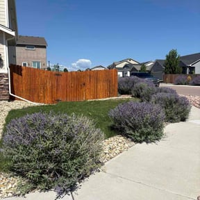 Bush Trimming by Perfect Touch reviewed on October 20, 2025